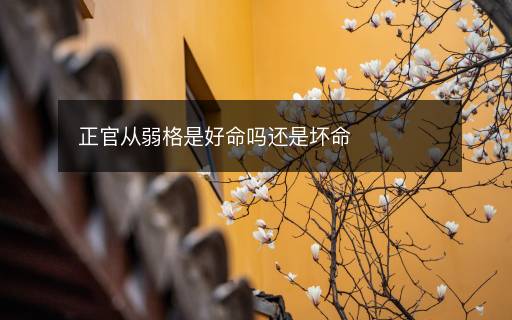 正官?gòu)娜醺袷呛妹鼏徇€是壞命