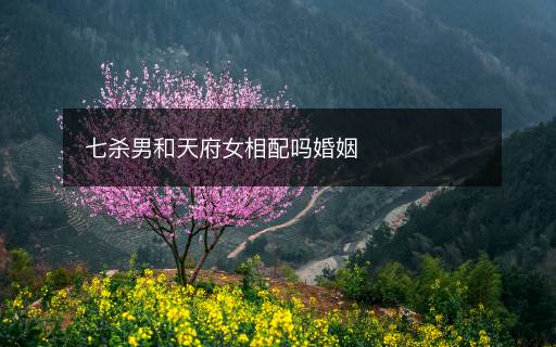 七殺男和天府女相配嗎婚姻