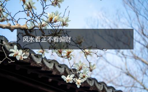 風(fēng)水看正不看偏財