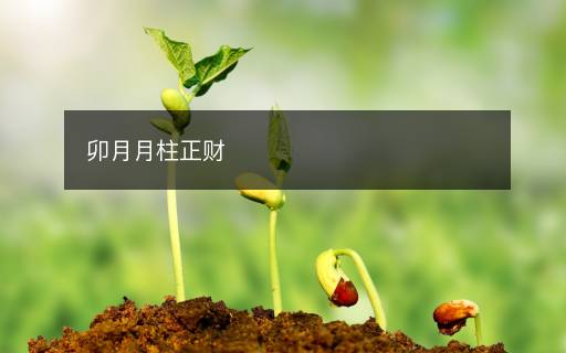 卯月月柱正財(cái)