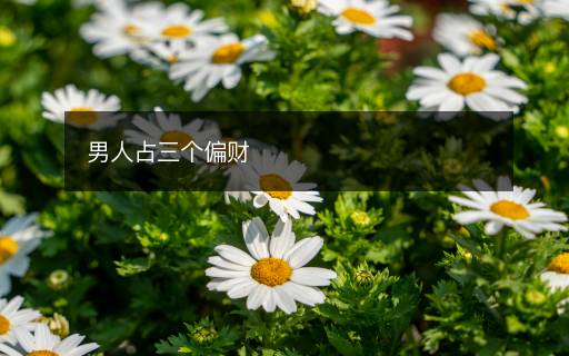 男人占三個(gè)偏財(cái)