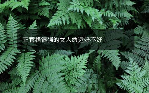 正官格很強的女人命運好不好