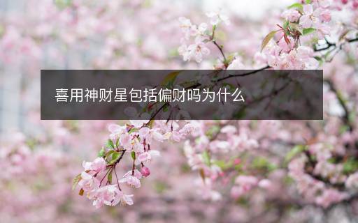 喜用神財星包括偏財嗎為什么