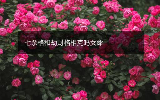 七殺格和劫財(cái)格相克嗎女命