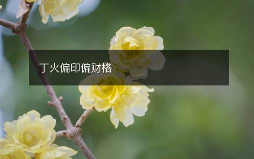丁火偏印偏財(cái)格