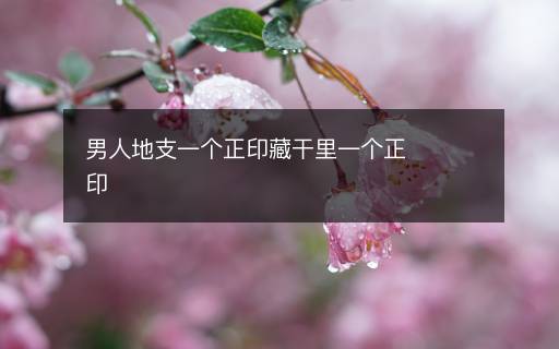 男人地支一個(gè)正印藏干里一個(gè)正印