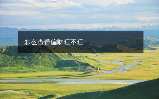 怎么查看偏財(cái)旺不旺
