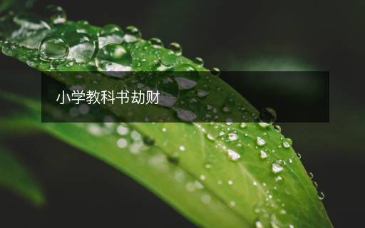 小學(xué)教科書劫財