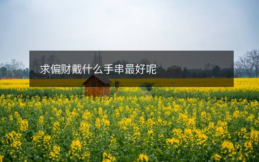 求偏財(cái)戴什么手串最好呢