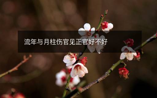 流年與月柱傷官見(jiàn)正官好不好