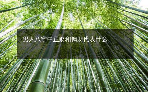 男人八字中正財(cái)和偏財(cái)代表什么