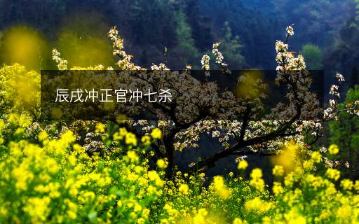 辰戌沖正官沖七殺