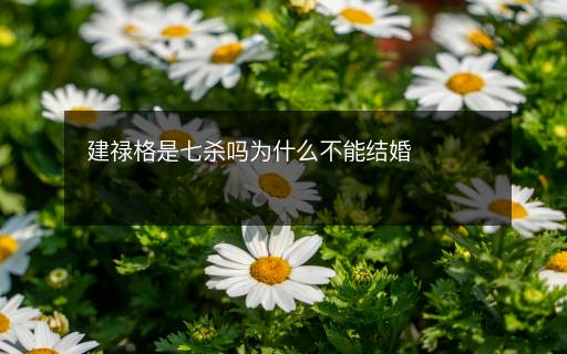 建祿格是七殺嗎為什么不能結婚