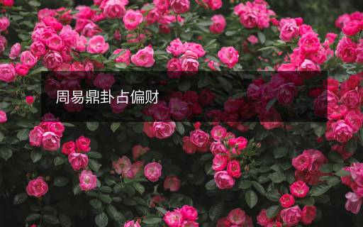 周易鼎卦占偏財(cái)