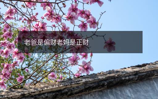老爸是偏財(cái)老媽是正財(cái)