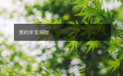 男的年支偏財