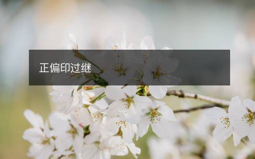 正偏印過(guò)繼