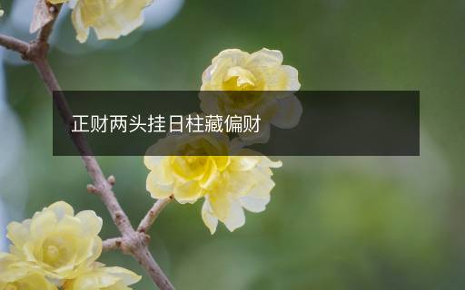 正財(cái)兩頭掛日柱藏偏財(cái)