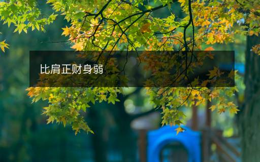 比肩正財(cái)身弱