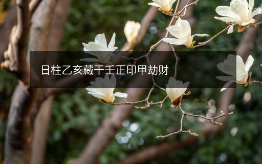 日柱乙亥藏干壬正印甲劫財