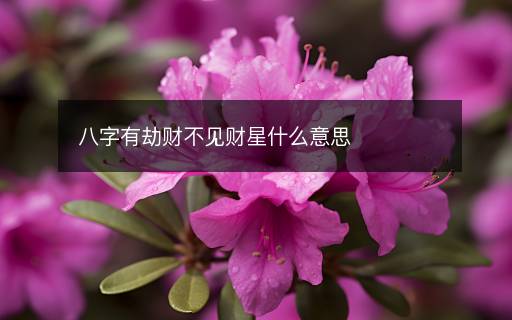 八字有劫財(cái)不見(jiàn)財(cái)星什么意思