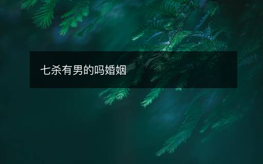 七殺有男的嗎婚姻