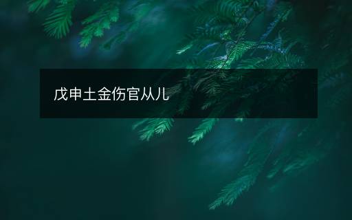 戊申土金傷官從兒