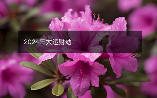 2024年大運(yùn)財(cái)劫
