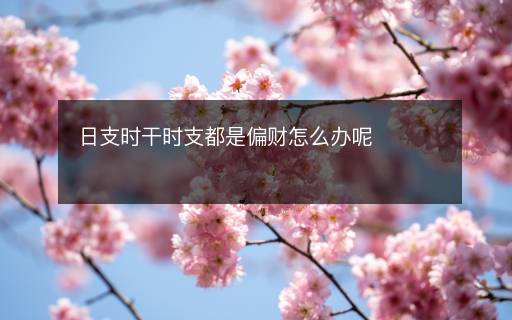 日支時干時支都是偏財怎么辦呢