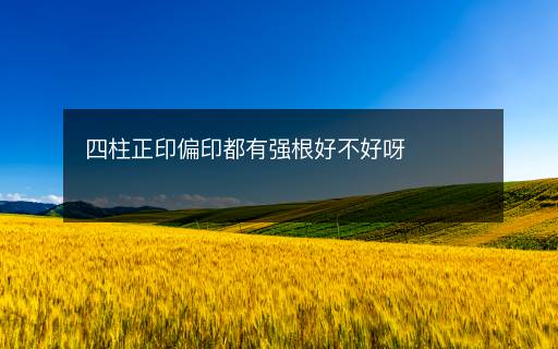 四柱正印偏印都有強(qiáng)根好不好呀