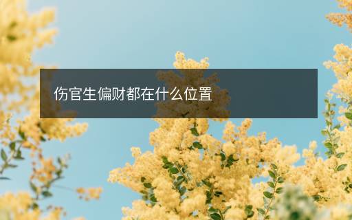 傷官生偏財(cái)都在什么位置