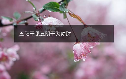 五陽(yáng)干見(jiàn)五陰干為劫財(cái)