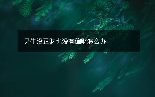 男生沒(méi)正財(cái)也沒(méi)有偏財(cái)怎么辦