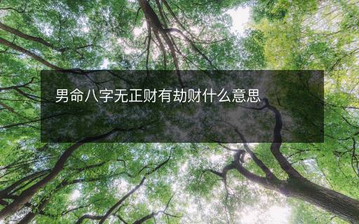 男命八字無正財有劫財什么意思