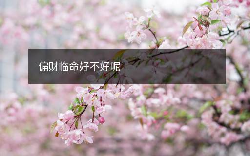 偏財臨命好不好呢