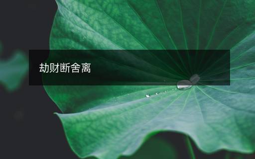 劫財(cái)斷舍離