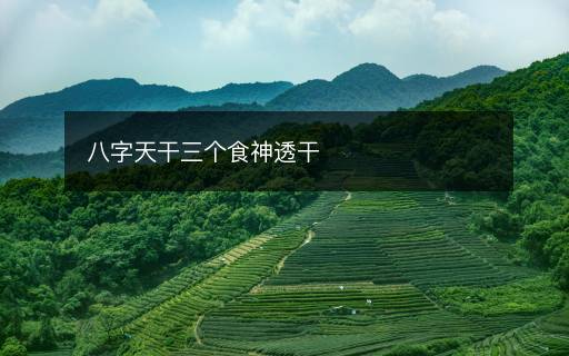 八字天干三個(gè)食神透干