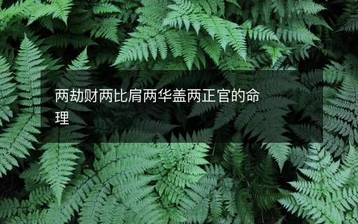 兩劫財兩比肩兩華蓋兩正官的命理