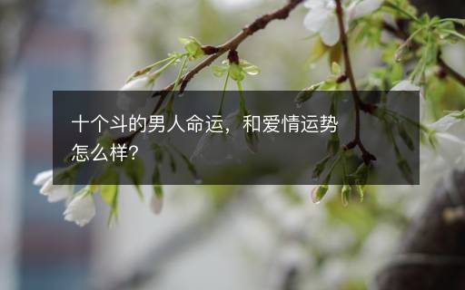十個斗的男人命運(yùn)，和愛情運(yùn)勢怎么樣？
