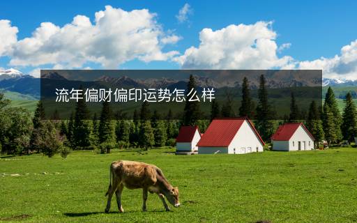 流年偏財偏印運勢怎么樣