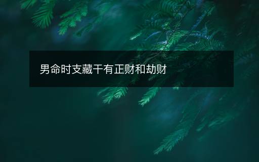 男命時支藏干有正財和劫財