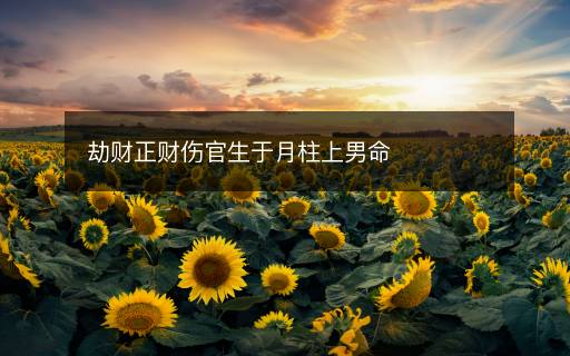 劫財正財傷官生于月柱上男命