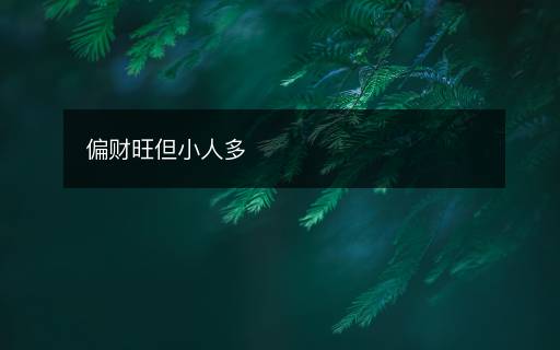 偏財(cái)旺但小人多