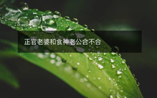 正官老婆和食神老公合不合