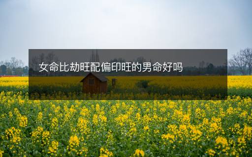 女命比劫旺配偏印旺的男命好嗎