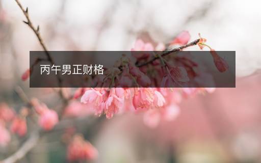 丙午男正財(cái)格