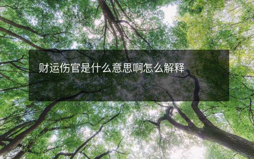 財運傷官是什么意思啊怎么解釋