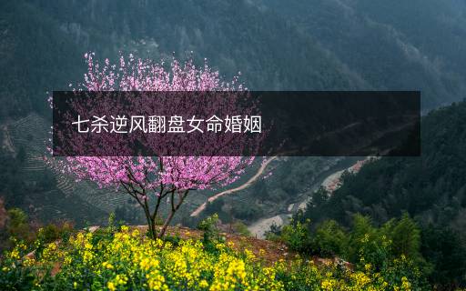 七殺逆風(fēng)翻盤女命婚姻