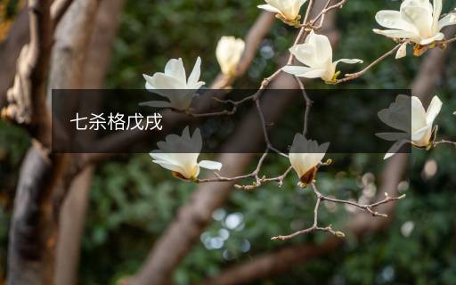 七殺格戊戌