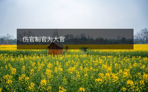 傷官制官為大官
